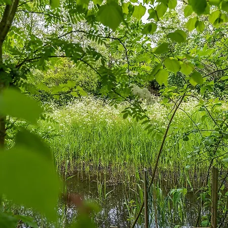 Nice, Modern Furnished Ferienhaus De Cocksdorp (Texel)