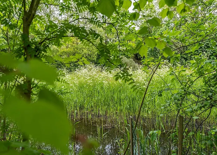 Nice, Modern Furnished Holiday home De Cocksdorp (Texel)