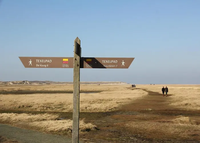 Nice, Modern Furnished De Cocksdorp (Texel)