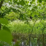 Nice, Modern Furnished Ferienhaus De Cocksdorp (Texel)